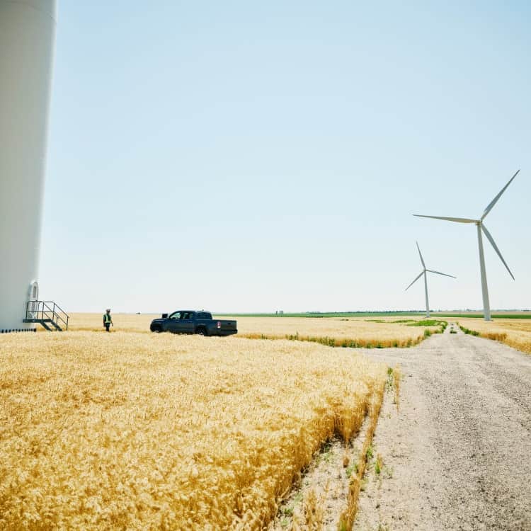 truck by wheat field