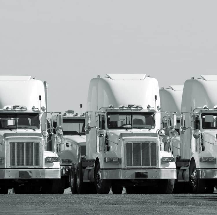 fleet of semi trucks